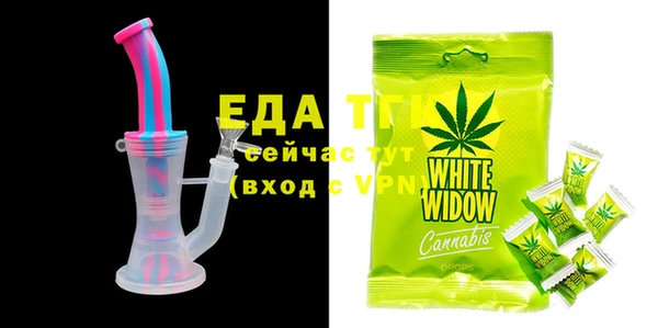 ECSTASY Алзамай