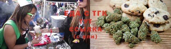 ECSTASY Алзамай