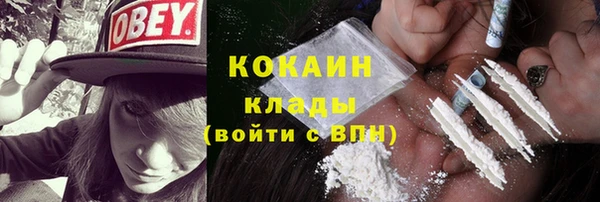 ECSTASY Алзамай