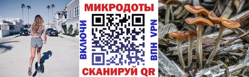 Псилоцибиновые грибы мухоморы  Иннополис 